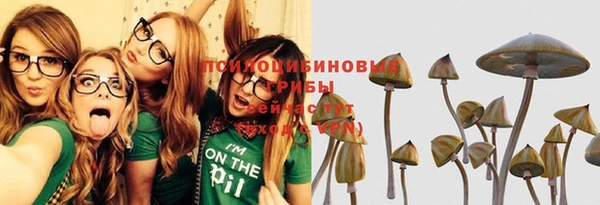 мескалин Дмитриев