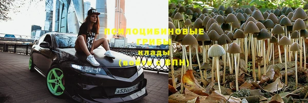 mdpv Дмитровск