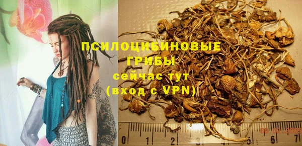 мескалин Дмитриев