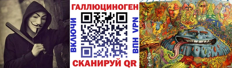 хочу наркоту  Усмань  гидра зеркало  Псилоцибиновые грибы Psilocybine cubensis 